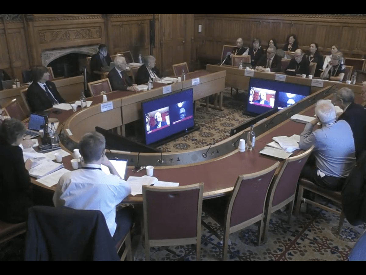 An Open Letter to Baroness Morris of Yardley, Chair of the Public Service Committee: Concerns Regarding Interpreters’ Representation